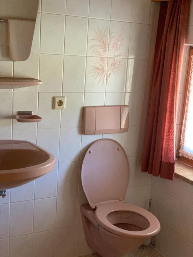 Appartement Birkenhof à Leutasch Extérieur photo